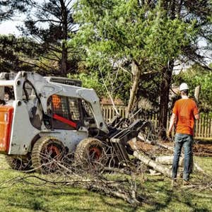 Photos by Pasadena Tree Services #1