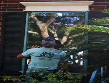 Photos by Bella Vista Windows and Doors #1