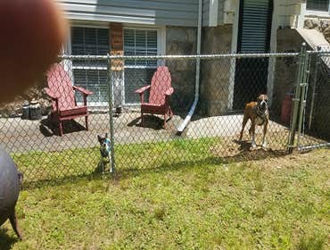 Photos by Let Steve Do It Fences Installed and Repair #2 Happy Satisfied Fence Customers