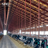 NRG Incentives