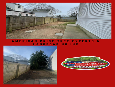 Photos by American Pride Tree Experts & Landscaping Inc #56