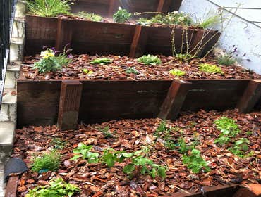 Landscaping