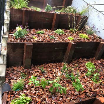 Landscaping
