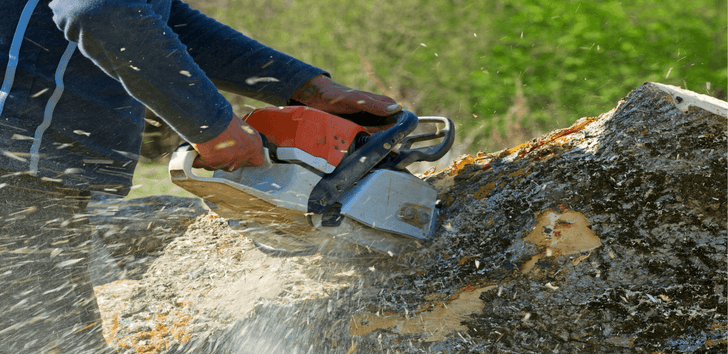 Photos by Druid City Tree Service #1