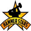 Hammer Stars, Inc logo