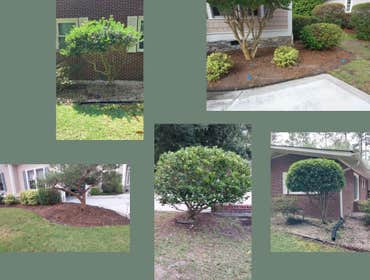Photos by 4-s Landscaping #6