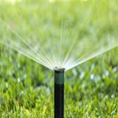 Photos from Noriega and Sons Landscape Corp