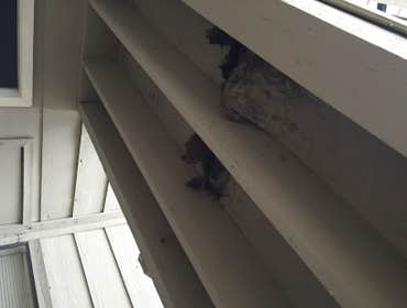 Photo(s) from Tromler Construction
