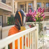Sereno Custom Fence & Gates