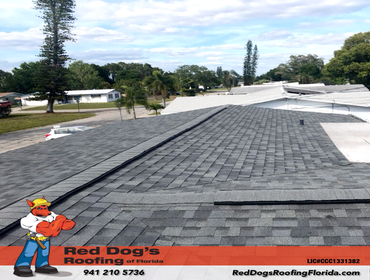 Photos by Red dog's Roofing of Florida #1