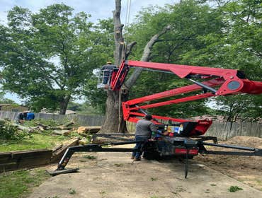 Photos by M.A. Garcia Tree Service Inc #1