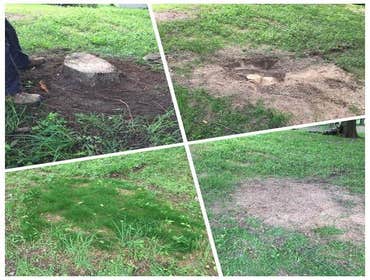 Photo(s) from Dlp Construction, LLC