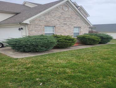 Photos by Alberto Alavez Professional Lawn Services LLC #12