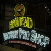Neon Sign