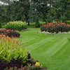 Majestic Landscape Services logo