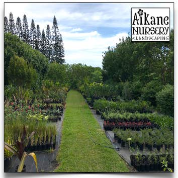 Aikane Landscaping & More