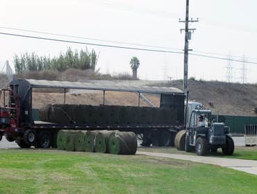 Edison Community Complex New Construction, Install 3 Soccer Fields, Planters and New Irrigation