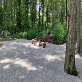 Photos by Doug Greenwood Landscaping Co #1