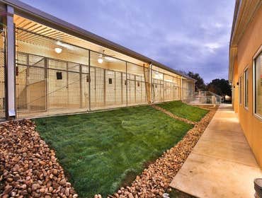 Animal Defense League Kennel Project