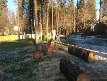 Photos by Get Er Down Tree Service #1