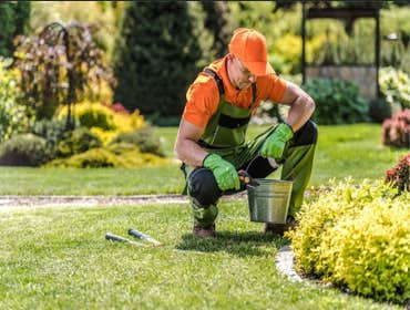 Photos by Brothers Landscaping LLC #1