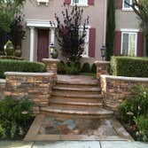 Urban Forest Landscape And Construction Photos