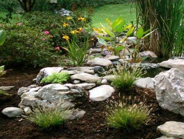 Custom Landscape Services Gallery At Custom Landscape Services we are Changing the Face of the Earth one Landscape at a Time!
We are proud of the wor