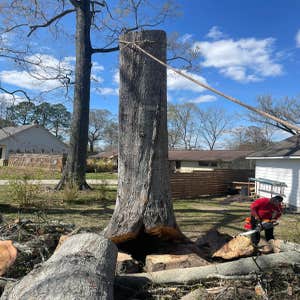 Photos by Santana Tree Service LLC #2
