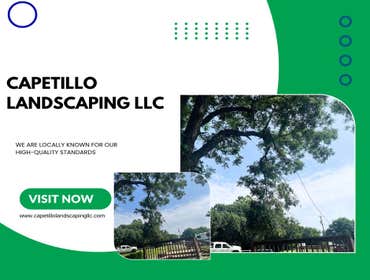 Photos by Capetillo Landscaping LLC #54