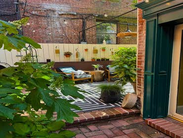 Photos by Rowhouse Growhouse #1