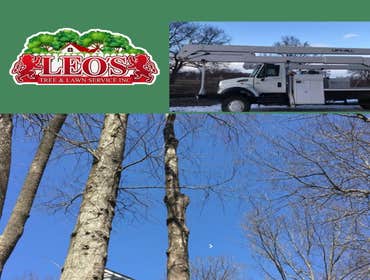 Photos by Leo’s Tree & Lawn Service Inc #2
