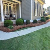 Photos by Lawn Frogs Landscaping #2 Pines Straw installation