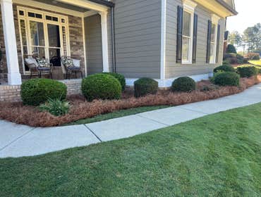 Photos by Lawn Frogs Landscaping #2 Pines Straw installation