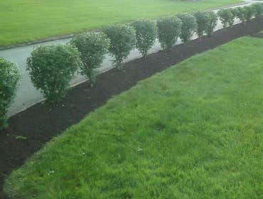 Photos from Nathan Stempfers Lawn And Landscape Design, Llc