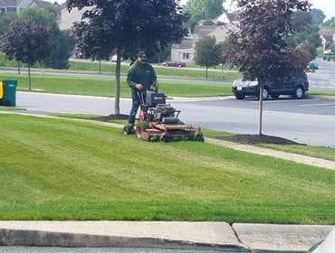 Photos by Professional Approach Landscape Services, Inc #1
