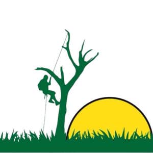 Photos by Luca Tree Service #1