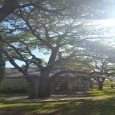 Photos from Julio's Tree Service