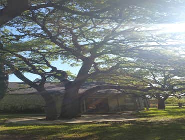 Photos from Julio's Tree Service