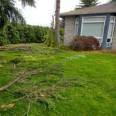 Cristian Lawn Care & Landscaping LLC