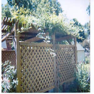 Wood Fences