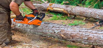 Kalispell Tree Care