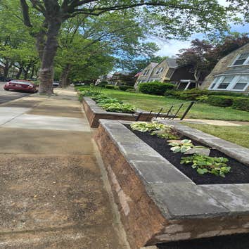 Hardscape / Landscape