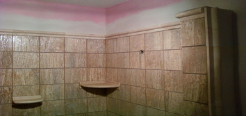 Bath shower remodel