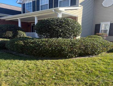 Photos by Beauty Meister Landscaping LLC #2