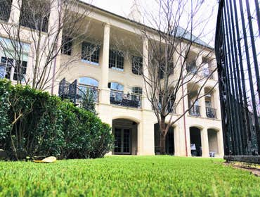 Photos by Dfw Turf Solutions #1