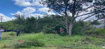 Photos by D.A. Martinez Tree Service #2