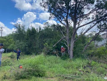 Photos by D.A. Martinez Tree Service #2