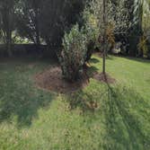 Photos by Cirilo San Juan Landscaping #1