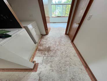 Photos by Gus's Premium Carpets Inc #1