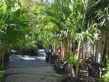 Photos by B&c Fruit Trees & Landscape LLC #1